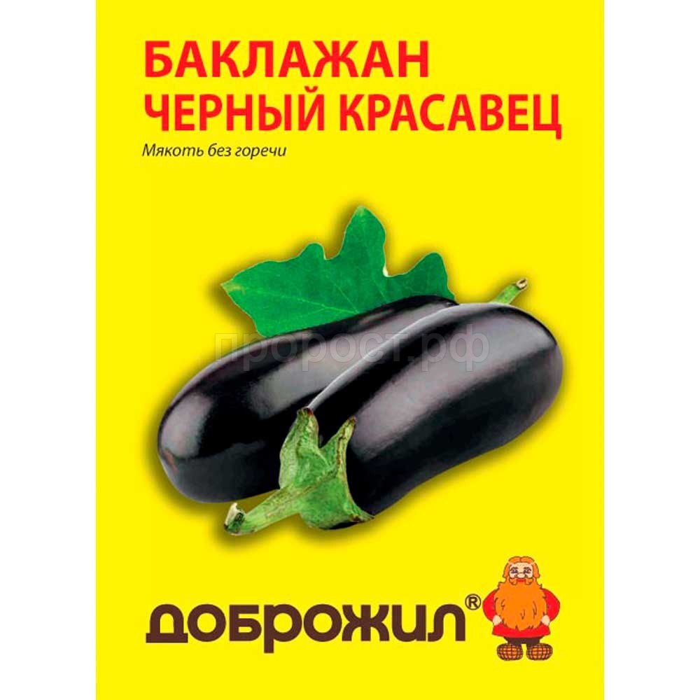 Баклажан Черный Красавец 0,5г купить в Ростове-на-Дону по низкой цене